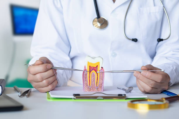 Best Urgent Care for Lost Fillings or Crowns in Westwood, PA
